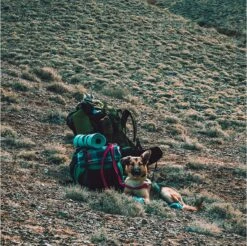 LOWLAND OUTDOOR® Donzen Slaapzak - Super Compact Blanket - 210 X 80 Cm - 590gr +8°C -Winkel Voor Kampeerartikelen Voor Buiten 1200x1196 8